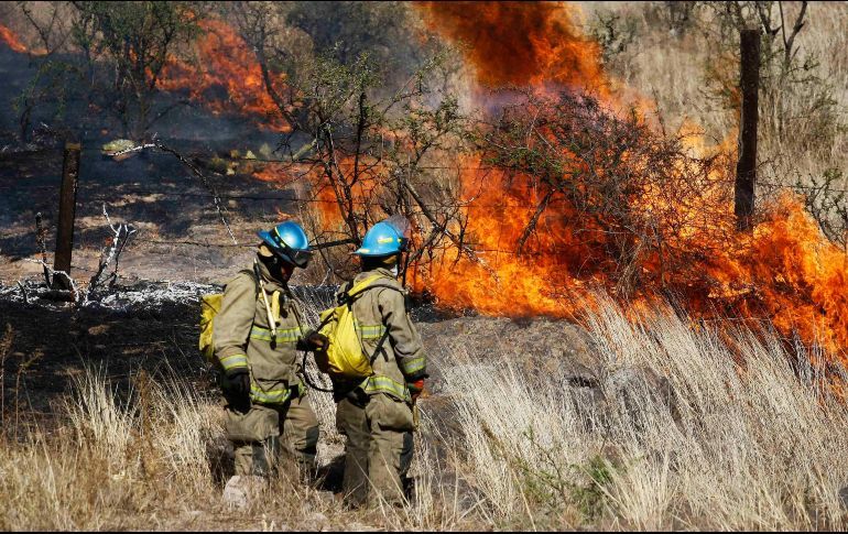 En Cuatro Meses Se Registran Mas De Dos Mil Incendios Forestales En Mexico Poder Y Critica